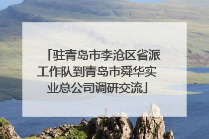 驻青岛市李沧区省派工作队到青岛市舜华实业总公司调研交流