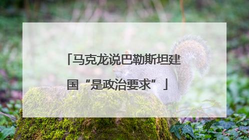 马克龙说巴勒斯坦建国“是政治要求”
