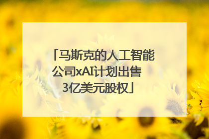 马斯克的人工智能公司xAI计划出售3亿美元股权