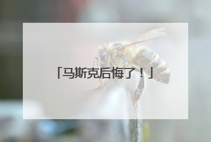 马斯克后悔了！