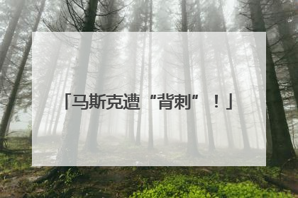 马斯克遭“背刺”！