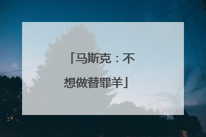 马斯克：不想做替罪羊