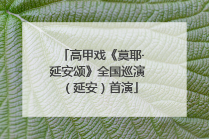 高甲戏《莫耶·延安颂》全国巡演（延安）首演