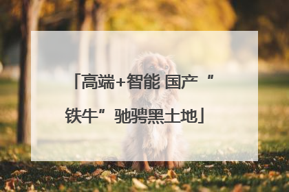 高端+智能 国产“铁牛”驰骋黑土地