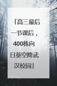 高三最后一节课后，400株向日葵空降武汉校园