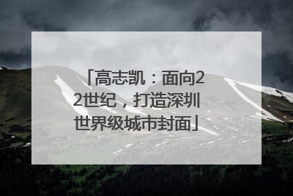 高志凯：面向22世纪，打造深圳世界级城市封面