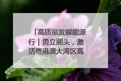 高质量发展能源行｜勇立潮头，激活粤港澳大湾区高质量发展动力源