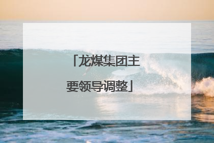 龙煤集团主要领导调整