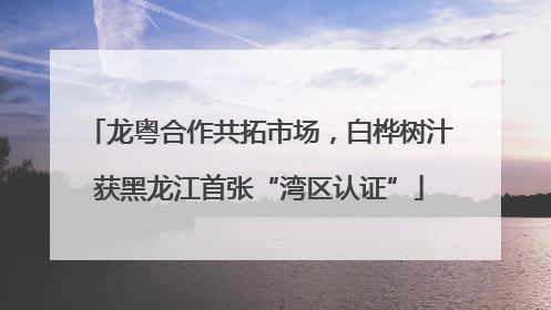 龙粤合作共拓市场，白桦树汁获黑龙江首张“湾区认证”