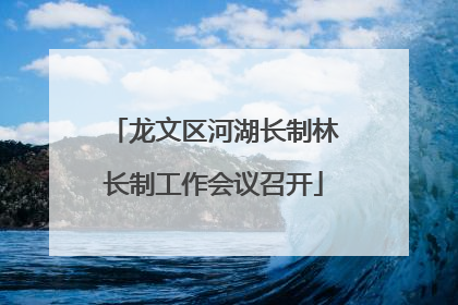 龙文区河湖长制林长制工作会议召开