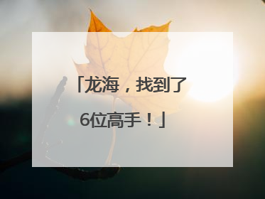 龙海，找到了6位高手！