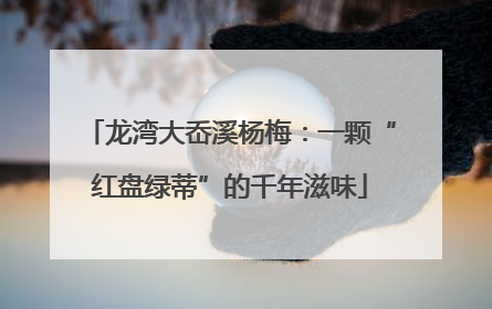 龙湾大岙溪杨梅：一颗“红盘绿蒂”的千年滋味