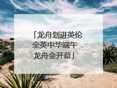 龙舟划进英伦 全英中华端午龙舟会开幕