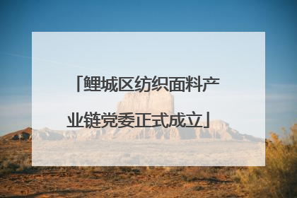 鲤城区纺织面料产业链党委正式成立