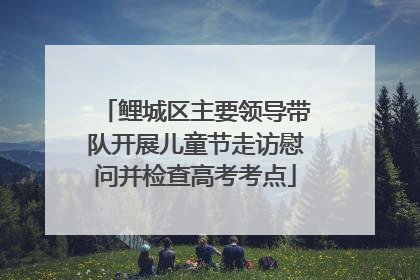 鲤城区主要领导带队开展儿童节走访慰问并检查高考考点