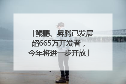 鲲鹏、昇腾已发展超665万开发者，今年将进一步开放