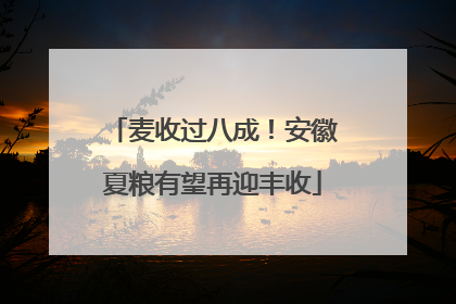 麦收过八成！安徽夏粮有望再迎丰收