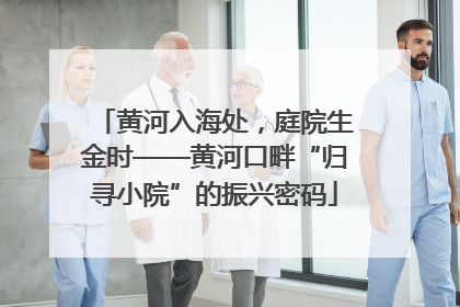 黄河入海处，庭院生金时——黄河口畔“归寻小院”的振兴密码