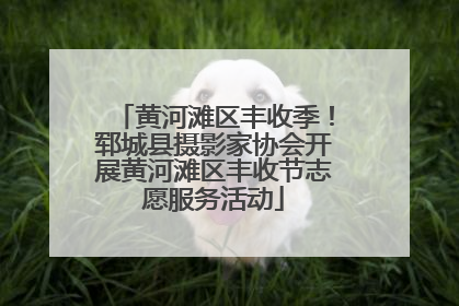 黄河滩区丰收季！郓城县摄影家协会开展黄河滩区丰收节志愿服务活动
