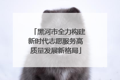 黑河市全力构建新时代志愿服务高质量发展新格局