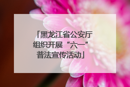 黑龙江省公安厅组织开展“六一”普法宣传活动