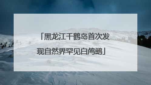 黑龙江千鹤岛首次发现自然界罕见白鸬鹚
