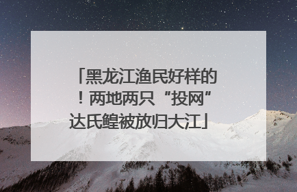 黑龙江渔民好样的！两地两只“投网”达氏鳇被放归大江
