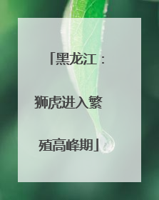 黑龙江：狮虎进入繁殖高峰期