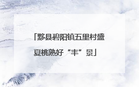 黟县碧阳镇五里村盛夏桃熟好“丰”景