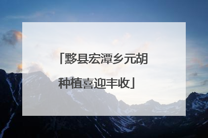 黟县宏潭乡元胡种植喜迎丰收