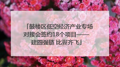 鼓楼区低空经济产业专场对接会签约18个项目——建圈强链 比翼齐飞