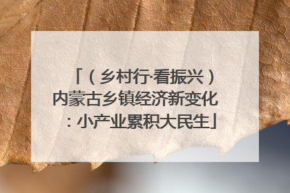 （乡村行·看振兴）内蒙古乡镇经济新变化：小产业累积大民生