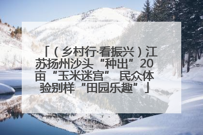 （乡村行·看振兴）江苏扬州沙头“种出”20亩“玉米迷宫” 民众体验别样“田园乐趣”