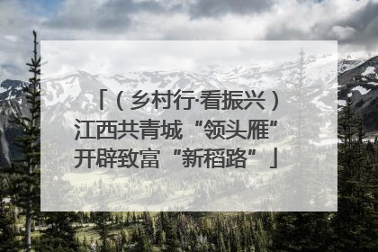 （乡村行·看振兴）江西共青城“领头雁”开辟致富“新稻路”