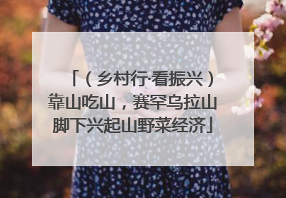 （乡村行·看振兴）靠山吃山，赛罕乌拉山脚下兴起山野菜经济