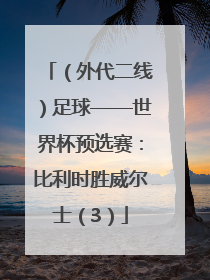 （外代二线）足球——世界杯预选赛：比利时胜威尔士（3）