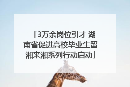 3万余岗位引才 湖南省促进高校毕业生留湘来湘系列行动启动
