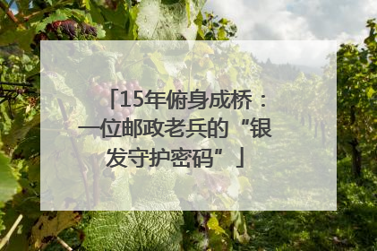 15年俯身成桥：一位邮政老兵的“银发守护密码”