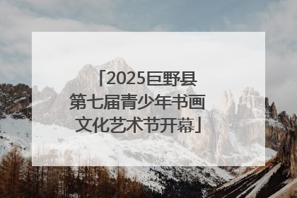 2025巨野县第七届青少年书画文化艺术节开幕