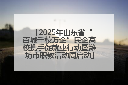 2025年山东省“百城千校万企”民企高校携手促就业行动暨潍坊市职教活动周启动