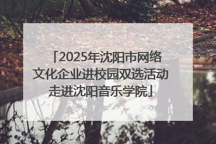 2025年沈阳市网络文化企业进校园双选活动走进沈阳音乐学院