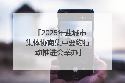 2025年盐城市集体协商集中要约行动推进会举办