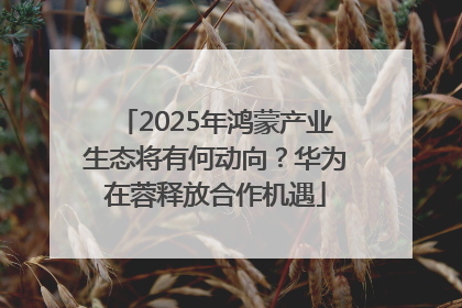 2025年鸿蒙产业生态将有何动向？华为在蓉释放合作机遇