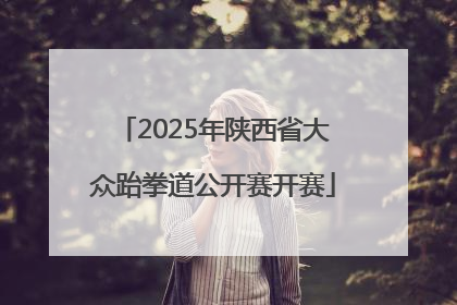 2025年陕西省大众跆拳道公开赛开赛