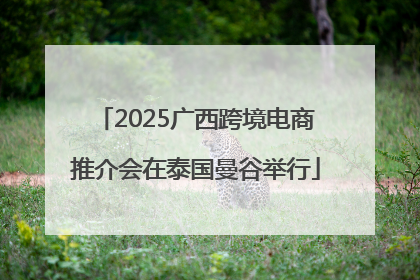 2025广西跨境电商推介会在泰国曼谷举行