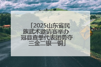 2025山东省民族武术邀请赛举办 冠县查拳代表团勇夺三金二银一铜