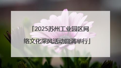 2025苏州工业园区网络文化采风活动圆满举行