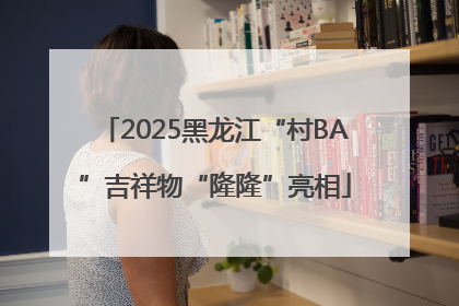 2025黑龙江“村BA”吉祥物“隆隆”亮相
