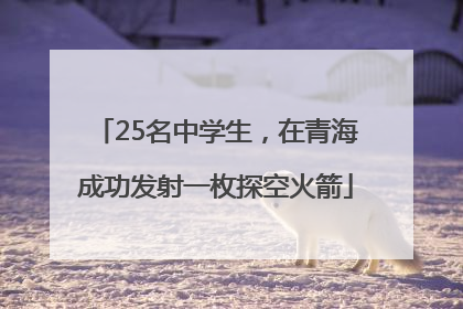 25名中学生，在青海成功发射一枚探空火箭