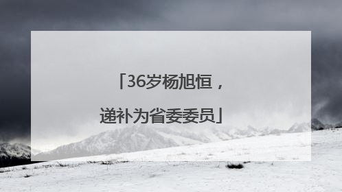 36岁杨旭恒，递补为省委委员